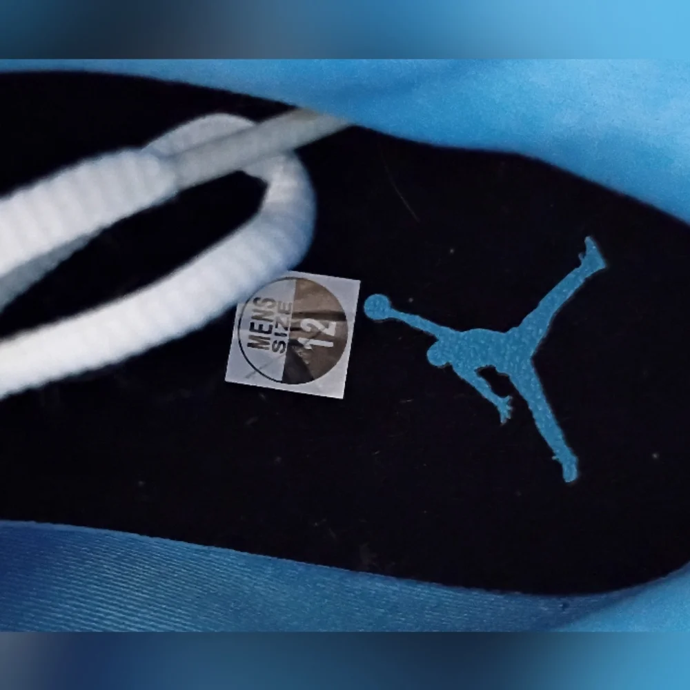 Air Jordan NIKE... NEW